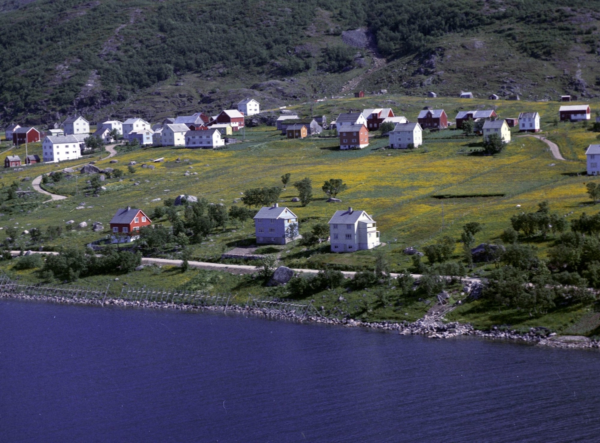 Flyfoto av bebyggelse på Grøtavær. Sommerfjøser i bakgrunnen og fiskehjeller i fjæra.