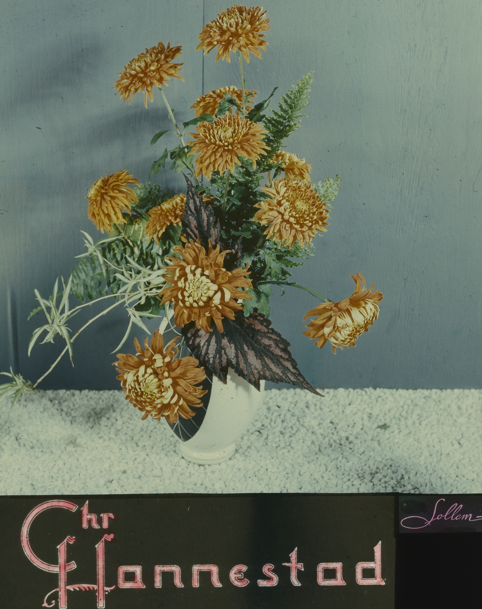 Kinoreklame fra 1950-1960-årene med Chr. Hannestad sin logo og blomsteroppsats med oransje krysantemum i hvit vase.