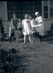 Holmeegenes, div. snapshots tatt på Holmeegenes.