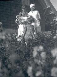 Holmeegenes, div. snapshots tatt på Holmeegenes.