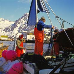 Svolvær havn; båtlag