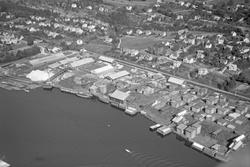 Ulike Widerø flyfoto fra Skien kommune, Borgestad