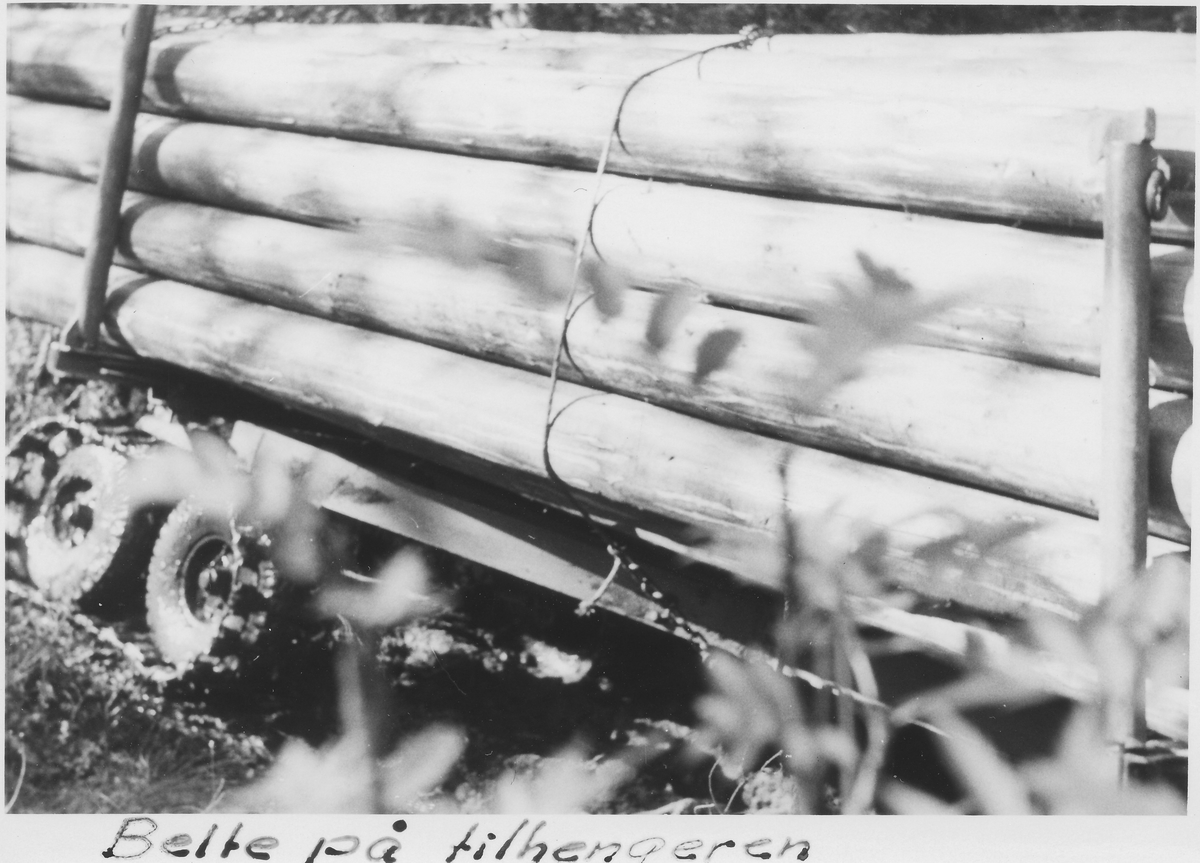 Tømmeret sikres med belte på tilhengeren, 1965
