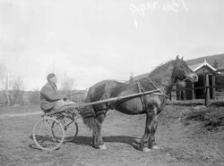 Hingsteutstilling på Smestadmoen. "Burugg". Mann. Bygninger.