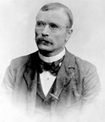 Portrett av ukjent mann