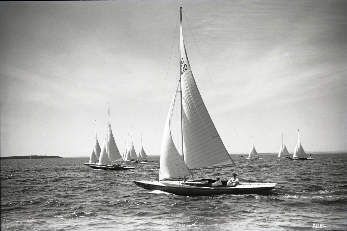Seilbåter i regatta. Landsregattaen, 1936. Drakene 'Fafne', 'Lill', 'Vita' og 'Troja 3'