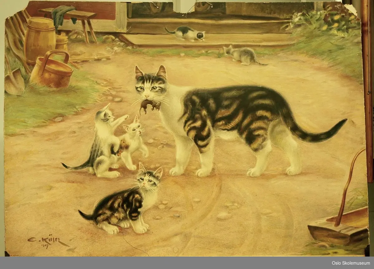En katt med fem kattunger på en gårdsplass. Katten har en mus i munnen.