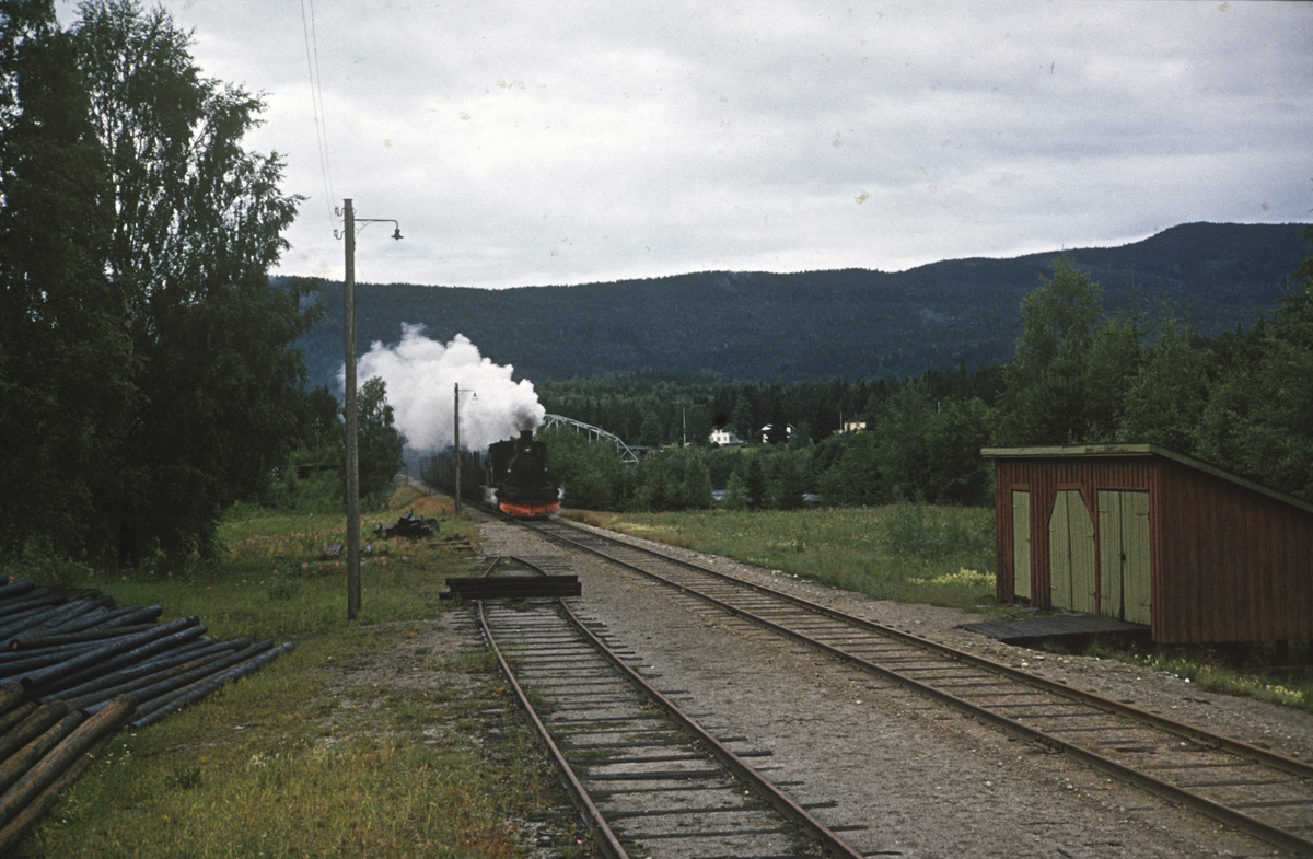 Godstog på Numedalsbanen ved Svene stasjon, trukket av damplok 21b nr. 225.