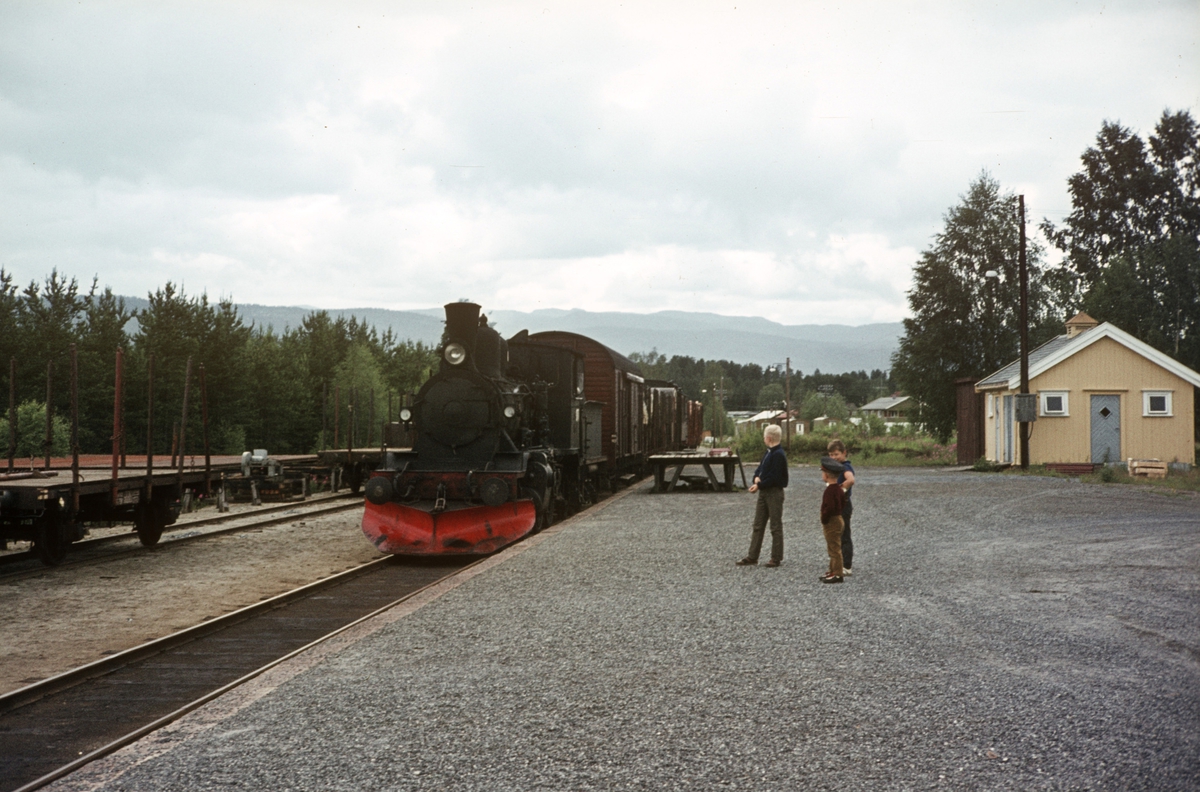 Damplokomotiv type 21b nr. 225 med godstog fra Rødberg til Kongsberg på Flesberg stasjon