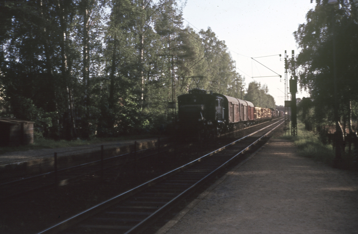Godstog ved Myra holdeplass på Drammenbanen. Toget trekkes av elektrisk lok type El 1.