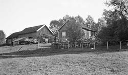 husmannsplass, bolighus, uthus, kulturlandskap, skog