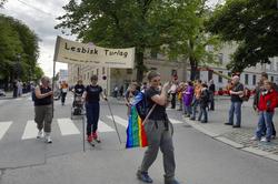 Fotodokumentasjon av Homoparaden 2008. Mennesker, opptog, pa