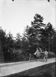 vei, hestekjøretøy, menn, kvinner