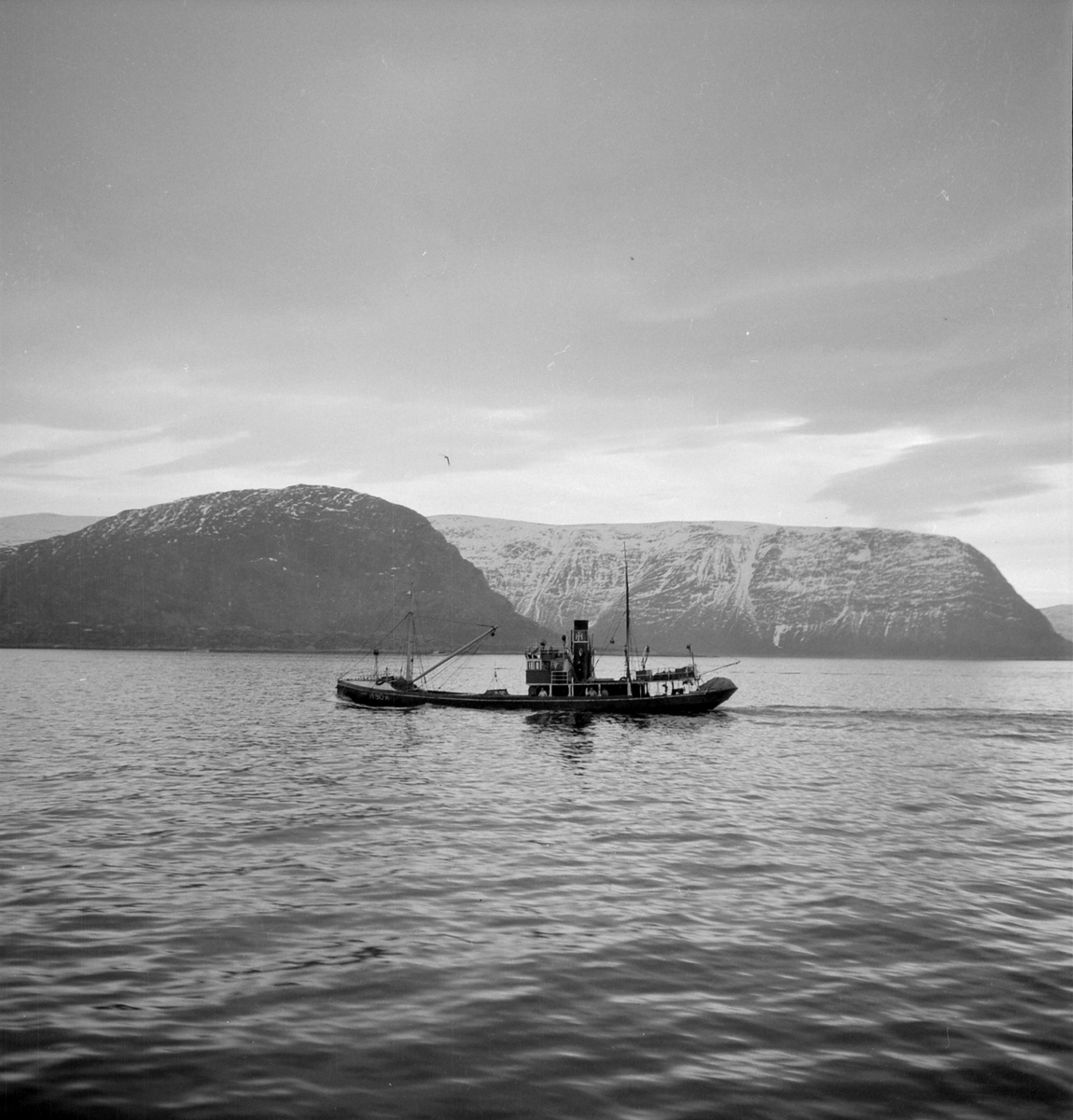 Storsildfiske på vestlandet - Sverresborg Trøndelag Folkemuseum ...