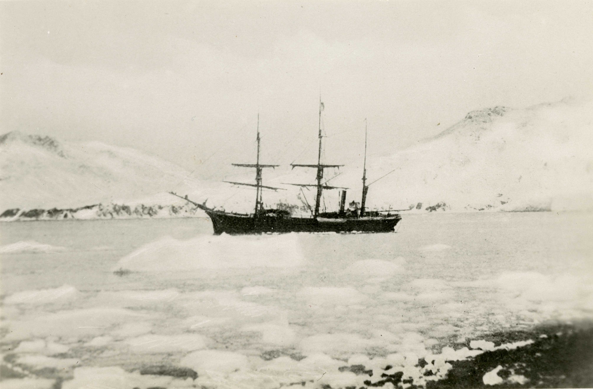 D/S Antarctic (b.1871, J. Jørgensen, Drammen) i isen, trolig i Cumberland Bay. Rederi: Rederiactieselskabet ”Antarctic” (Svend Foyn).