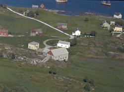 Grindfaret, Ansnesmyra