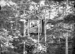 Bolighus ved skogen fotografert