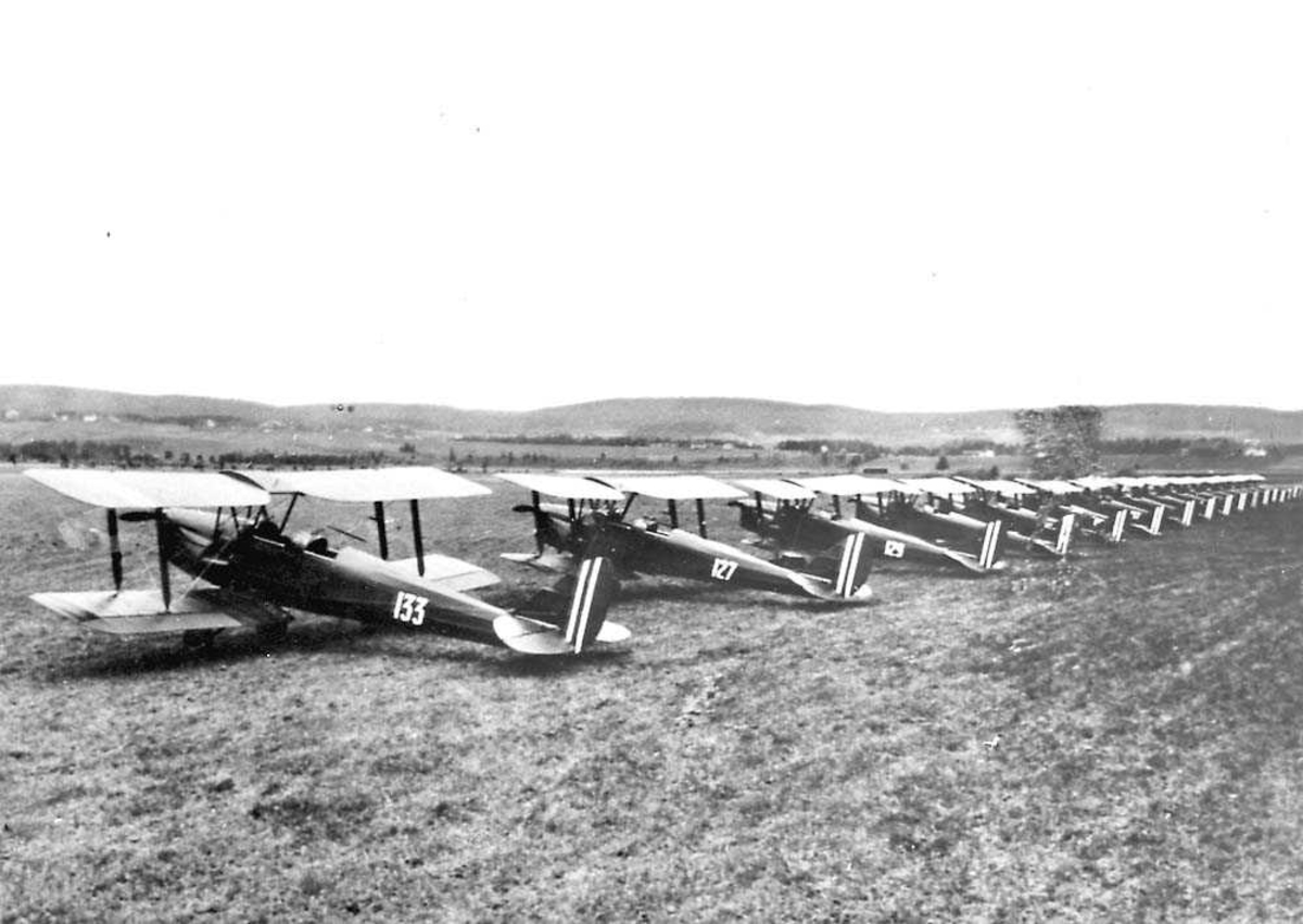 Flere fly oppstilt på et jorde, Tiger Moth D.H. 82.