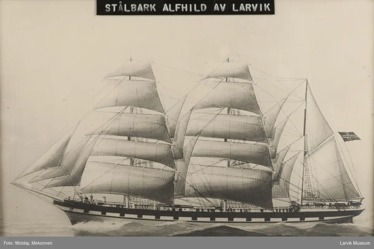 Stålbark ALFHILD av Larvik
