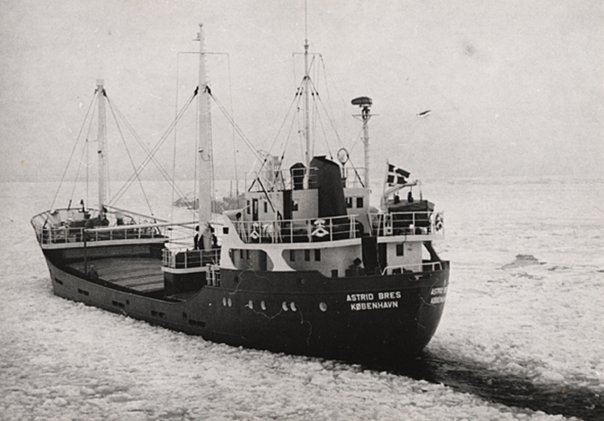 Lastmotorfartyget ASTRID BRES av Köpenhamn forcerar isen i Öresund i början av 1963.