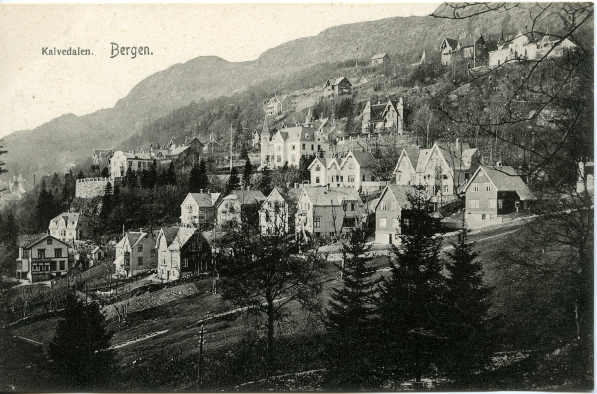 Kalvedalen i Bergen