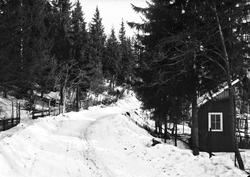 Vintervei ved bu, Hvalstad og Slependen i Akershus. Ukjent h