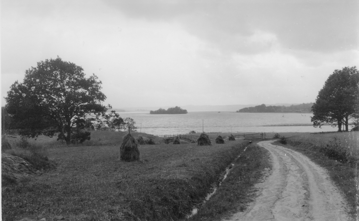 Sjön Anten med ön Loholmen.  Långared.