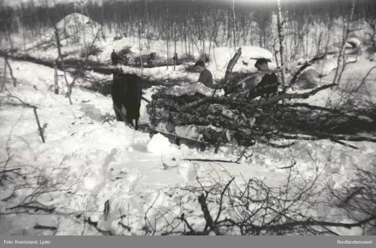 Kvantolands protokoll: Veddrift i Horndalen - Nordlandsmuseet ...