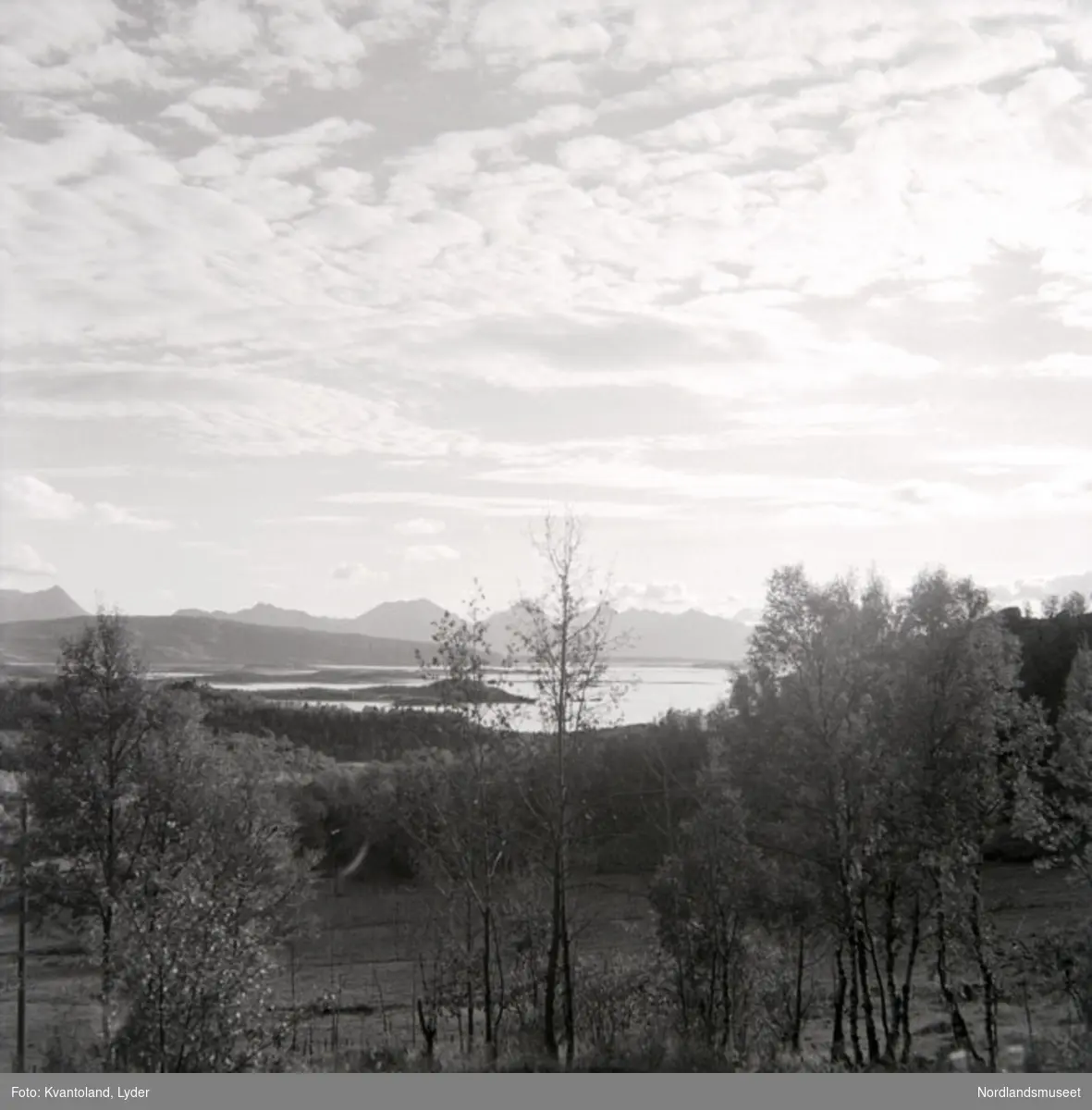 Kvantolands protokoll: 1. pl. fra Drag i Tysfjord, resten fra Hamarøy