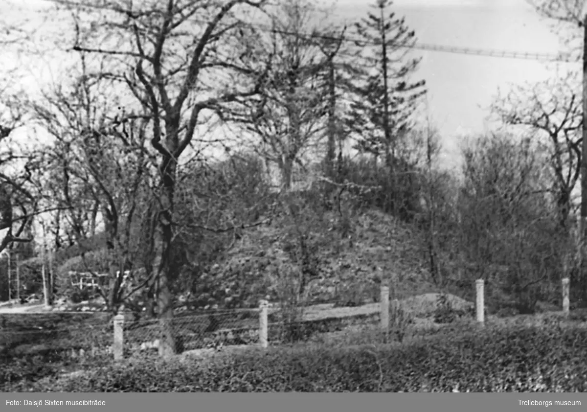 Ättehög i handlande W. Lindborgs trädgård, nummer 42 i Fuglie. Fotograferad från syd.