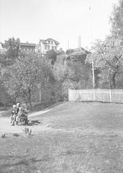 Kvinne og tre barn på benk i Biørnsborgparken 1938. Kragerø