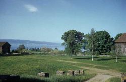 Ringnes - og Olav den hellige