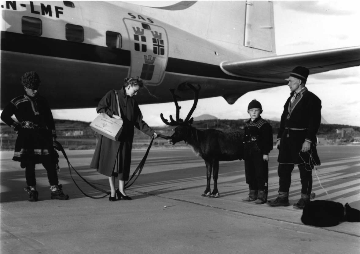 Lufthavn, 1 fly på bakken DC-6B, LN-LMF "Agne Viking" fra SAS. 3 samer med hund og rein ved flyet + 1 annen person..