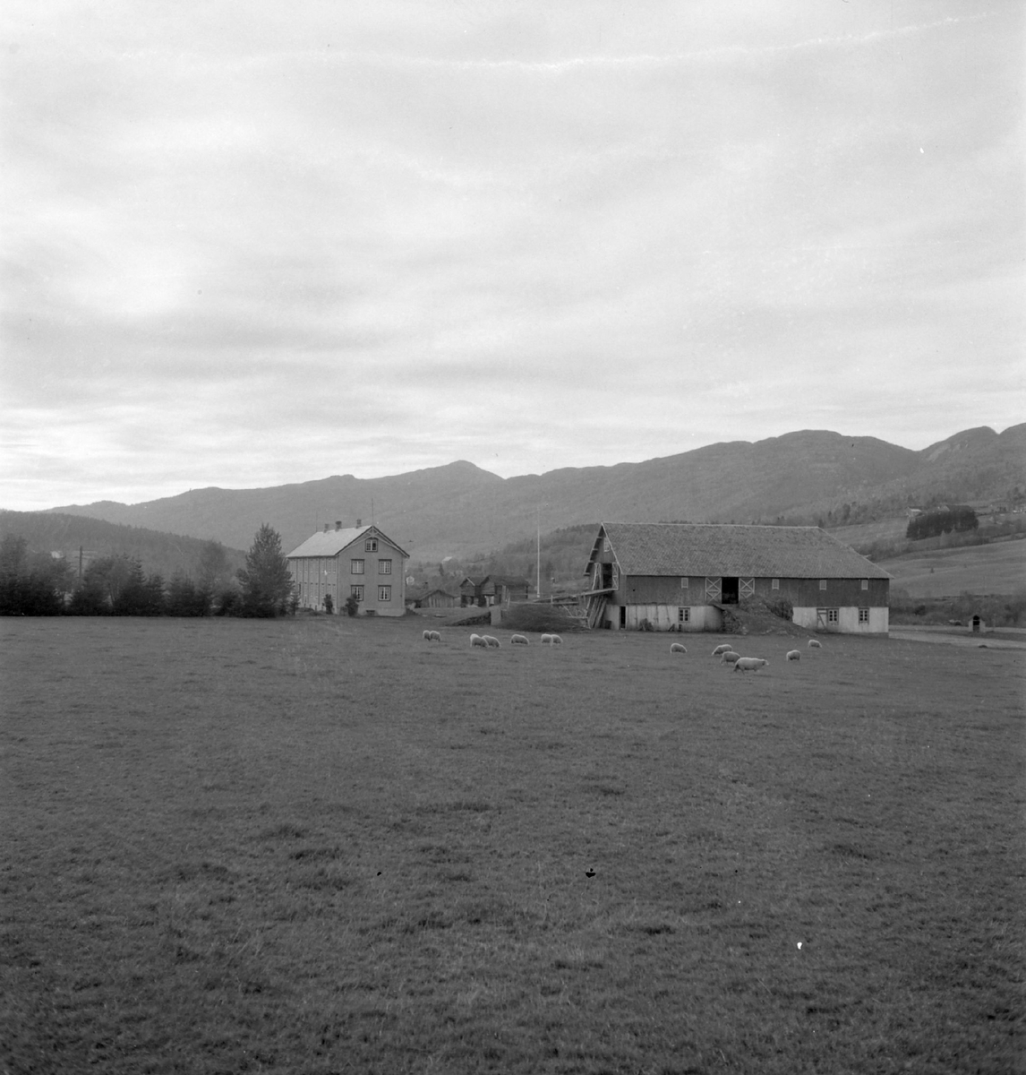 Ingebrigt Holtes gård i Rindalsskogen