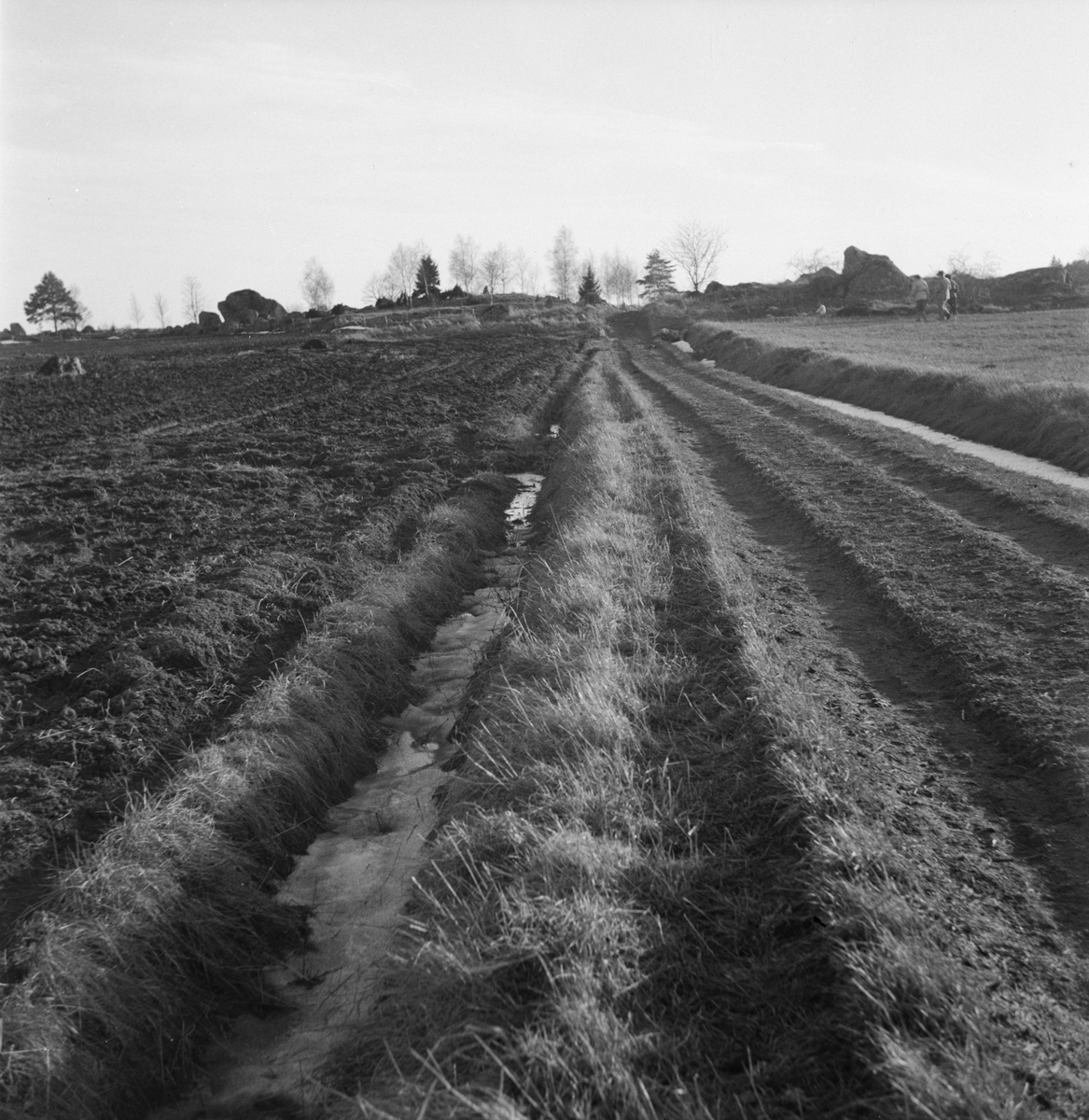 "Påskpromenaden", odlingslandskap, sannolikt Fittja socken, Uppland 1948