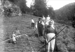 I høyonna Voan i Marnardal.