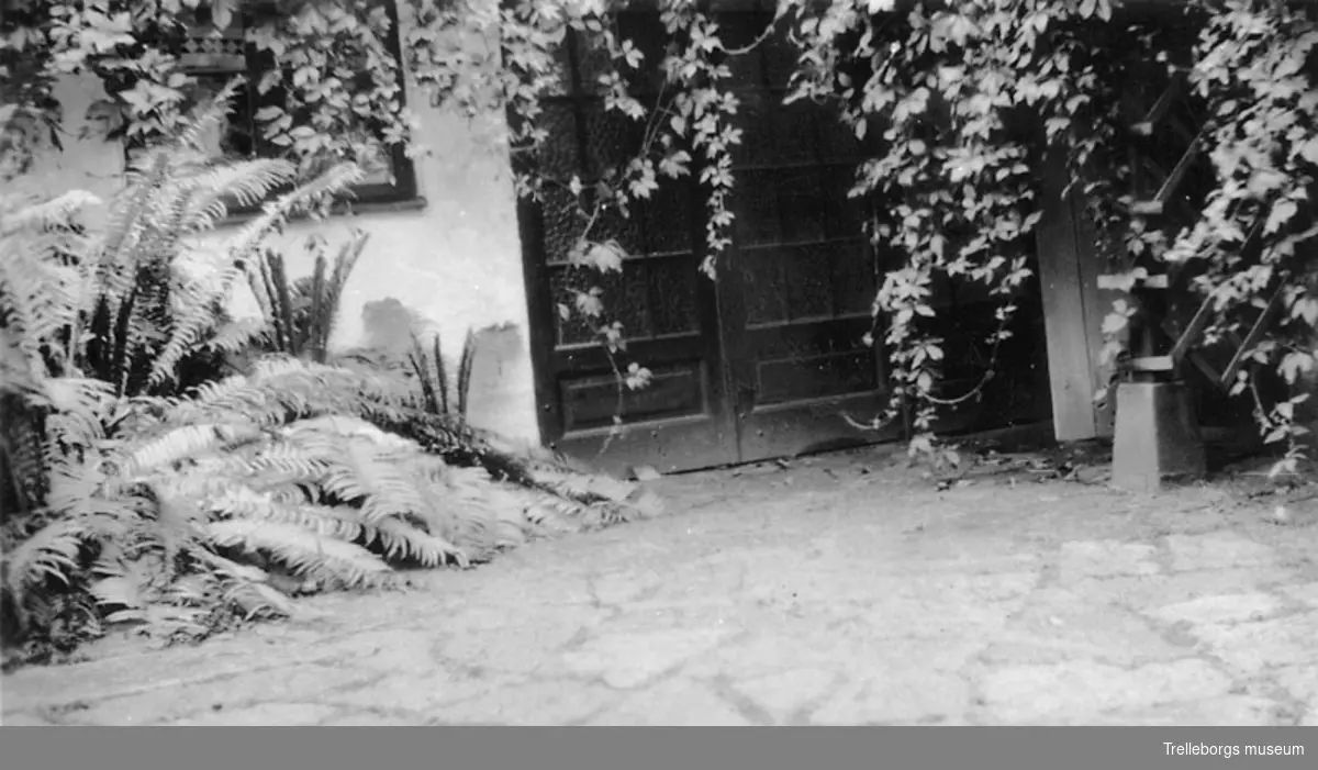 Sotare C Helgessons trädgård vid Västergatan 1934.Trädgårdsinteriörer från tomt nr 13 (163) ordnade av ägaren sotarmästare Carl Helgesson åren 1901-. Det gamla päronträdet å bilderna är mellan 200-300 år och 'här har varit trädgård sedan urminnes tid.'