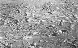 Olalia - 21/2 - 1972