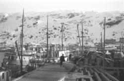 Vinter i Hammerfest havn. Store mengder bygningsmateriell, k