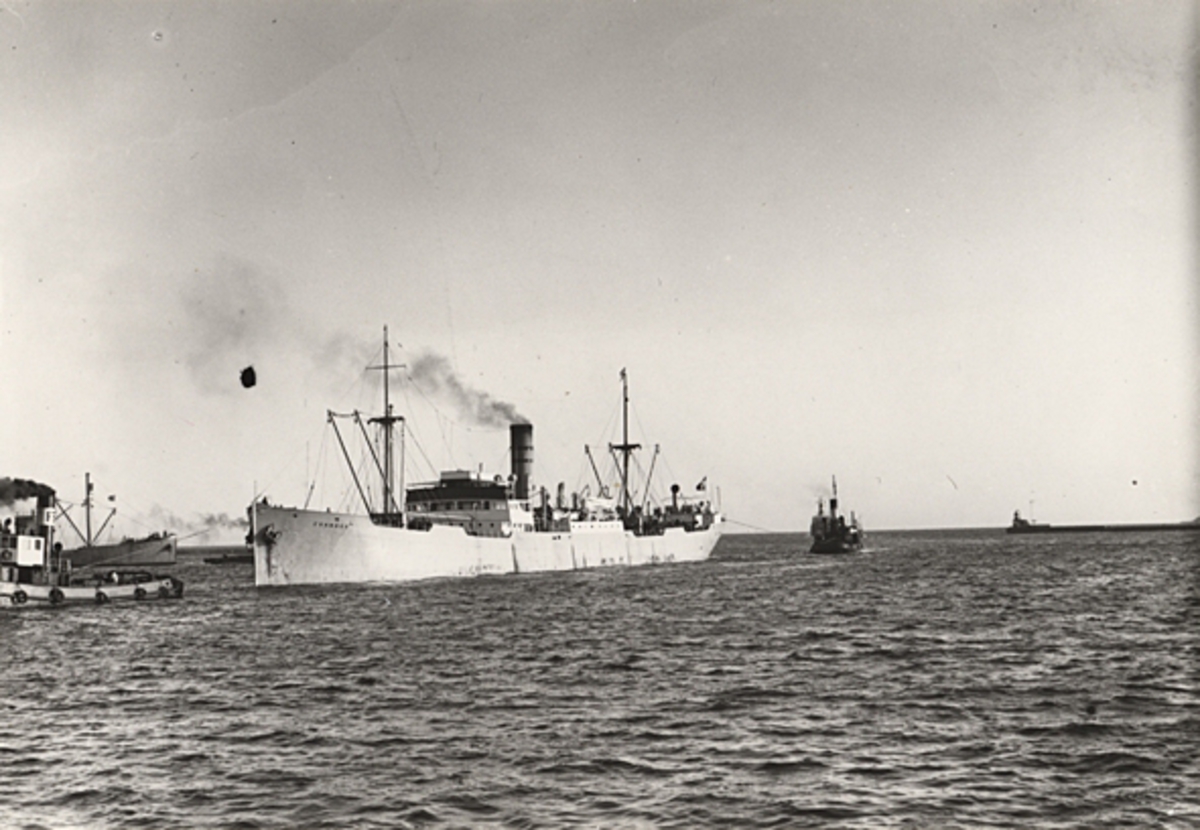 Foto i svartvitt visande lastångfartyget "EVANGER" i Köpenhamn under 1940-talet.