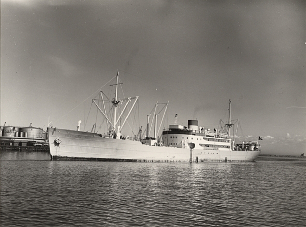 Foto i svartvitt visande lastmotorfartyget "GULLMAREN" i Köpenhamn under april månad 1954.