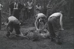 Åpning av graver i krigsfangeleiren på Falstad, Falstadskoge