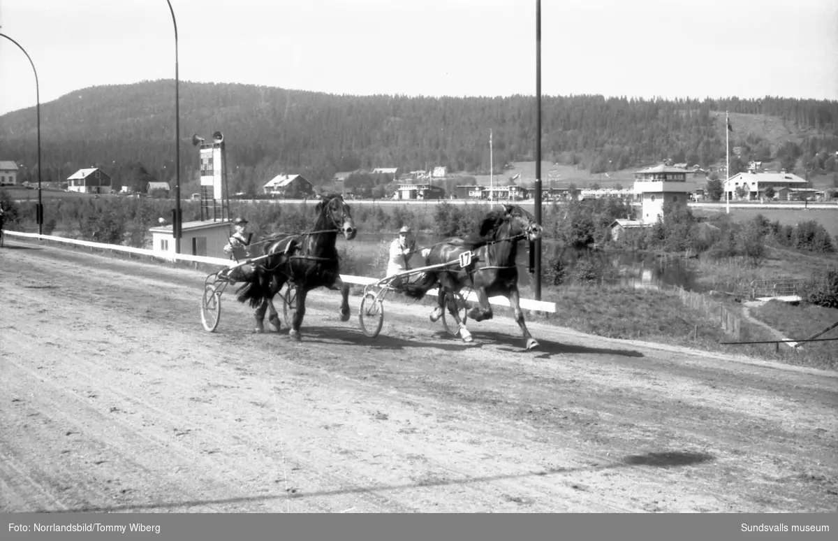 Nordsvenska travmästerskapet på Bergsåkers travbana 1960.