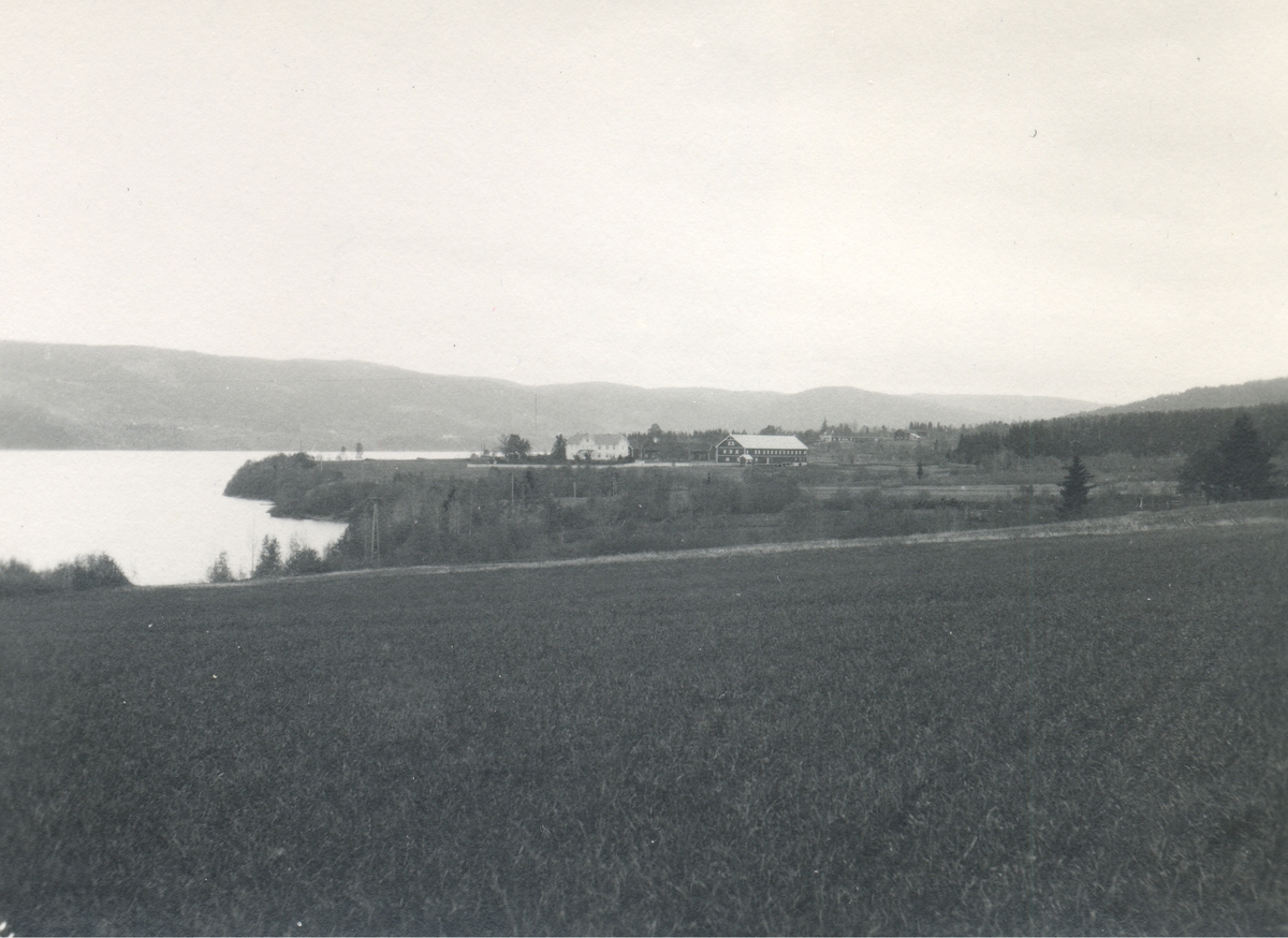 Foto Askvig nordre - Lands Museum / DigitaltMuseum