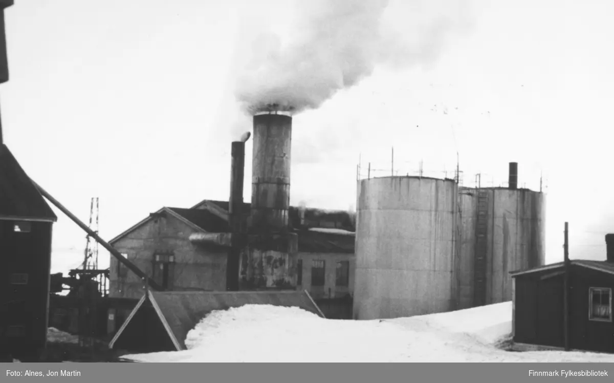 Sildemelfabrikken i Øksfjord i 1953. Fabrikkrøyken var illeluktende, men det lukta 'pæng' sa folk