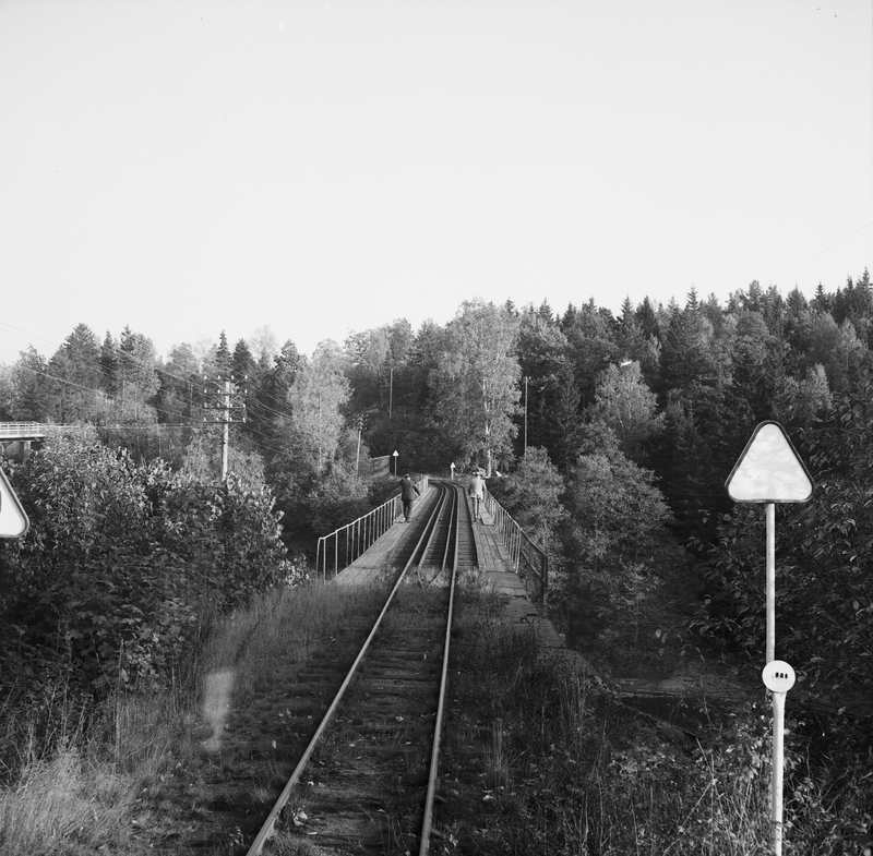 Lelångenbanan. Näst sista resan före nedläggandet, med utgång från Uddevalla. [Sundsbron]