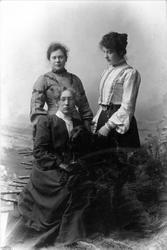 Harald Hanssens gruppeportrett av konkurrentene Magdalene No