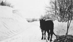 Hest med slede og vedlass på vinterføre i Snertingdal i Oppl