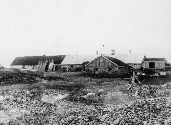 Storbrakka med storstallen i forgrunnen