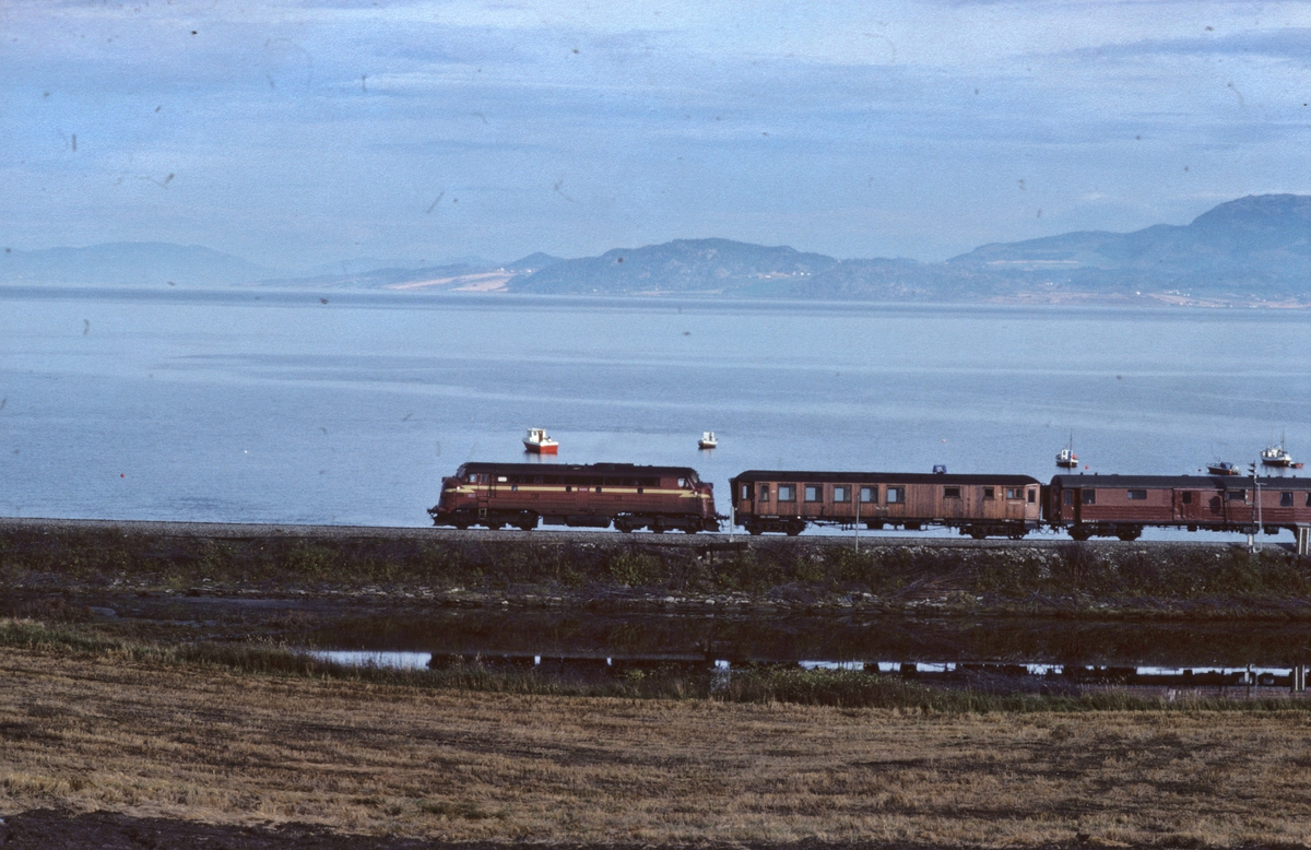 NSB persontog 424, Stockholm - Trondheim, med dieselelektrisk lokomotiv Di 3. Konduktørvognen med teak-kledning gikk fast i dette toget på lørdager, retur fra nattens godstog.